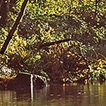 Reflet de verdure Kernansquillec 22